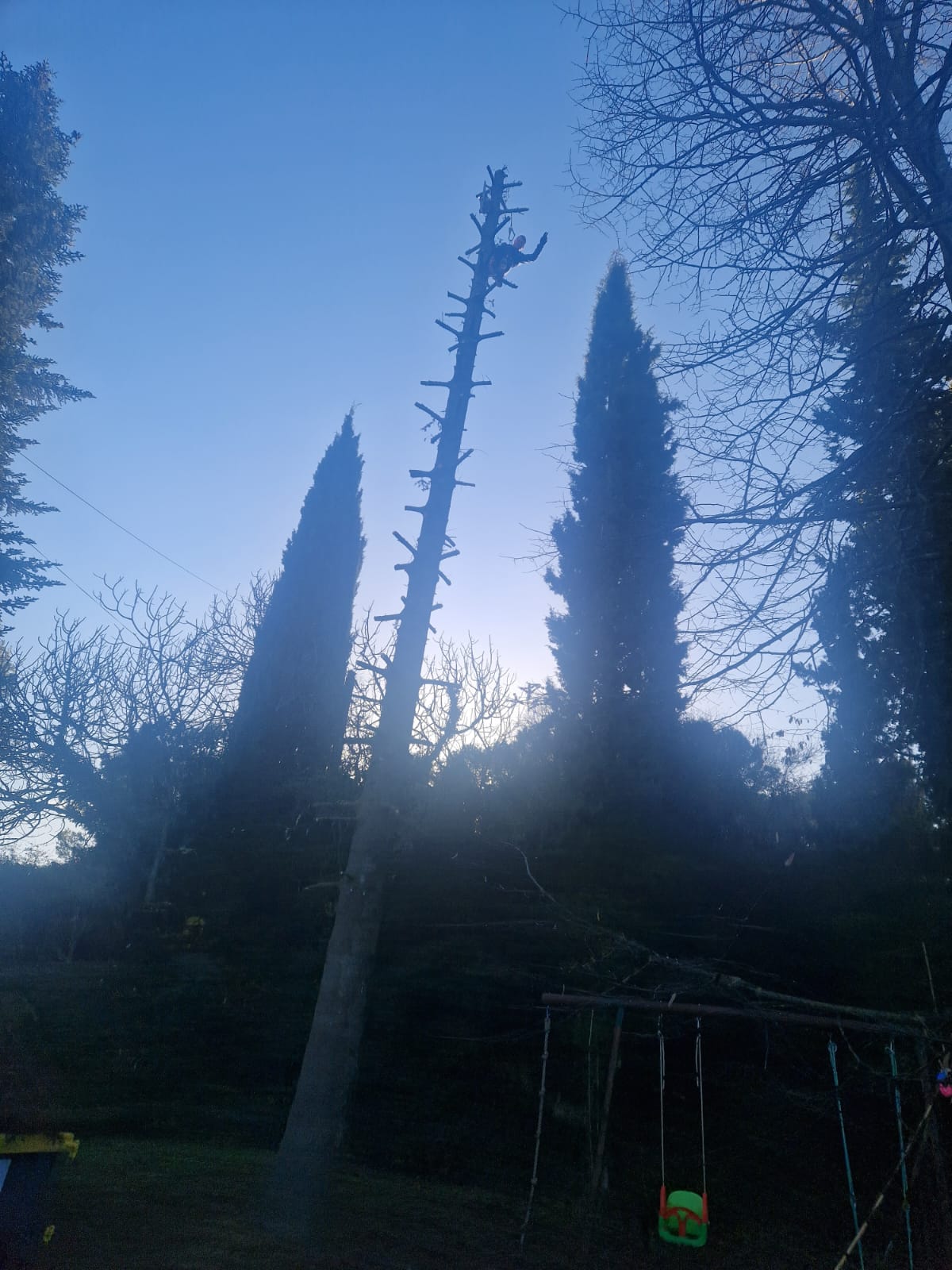 landscape-maintenance-40