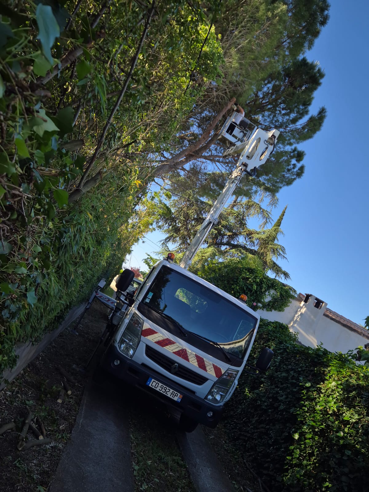 landscape-maintenance-40