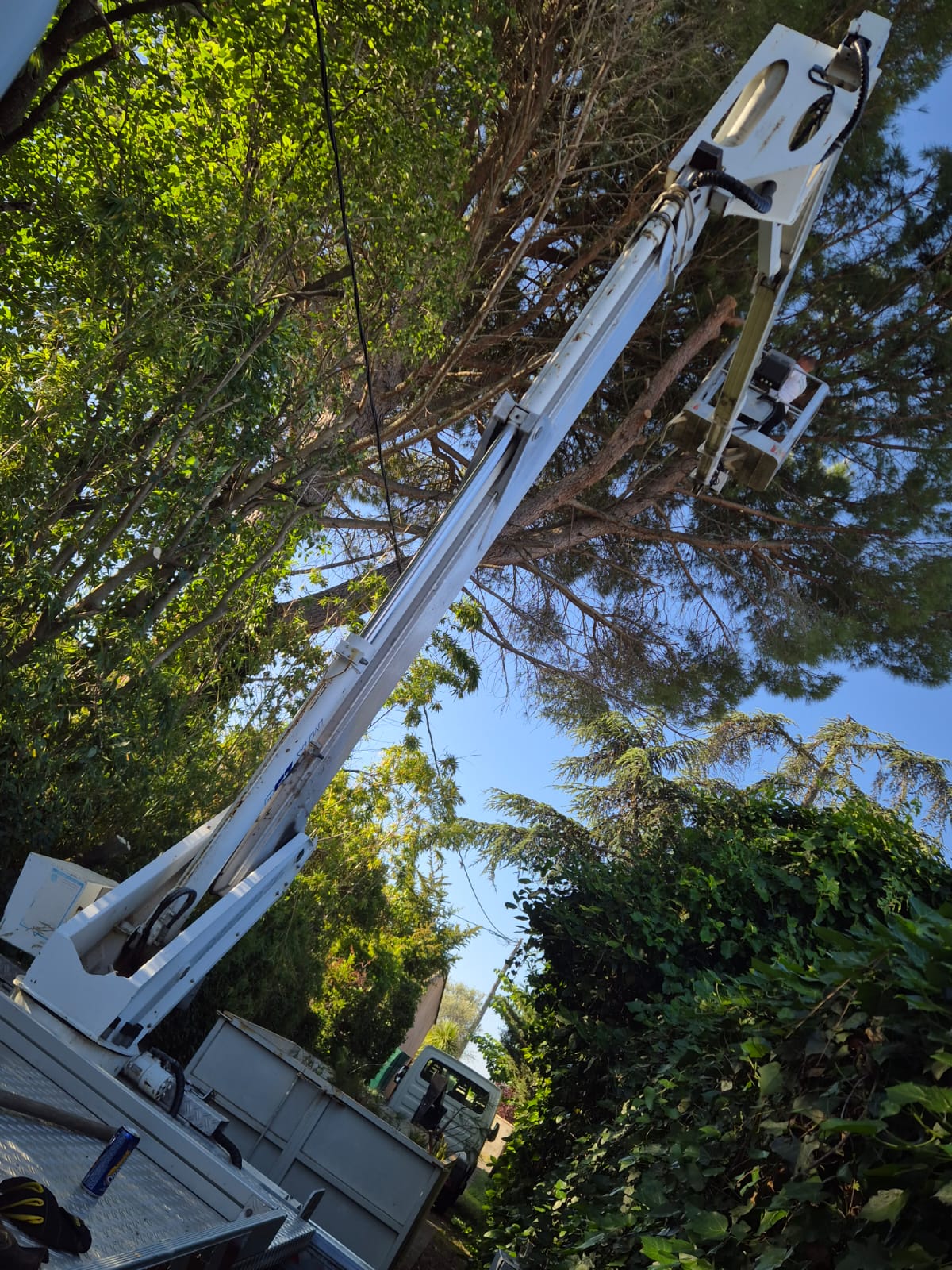 landscape-maintenance-40