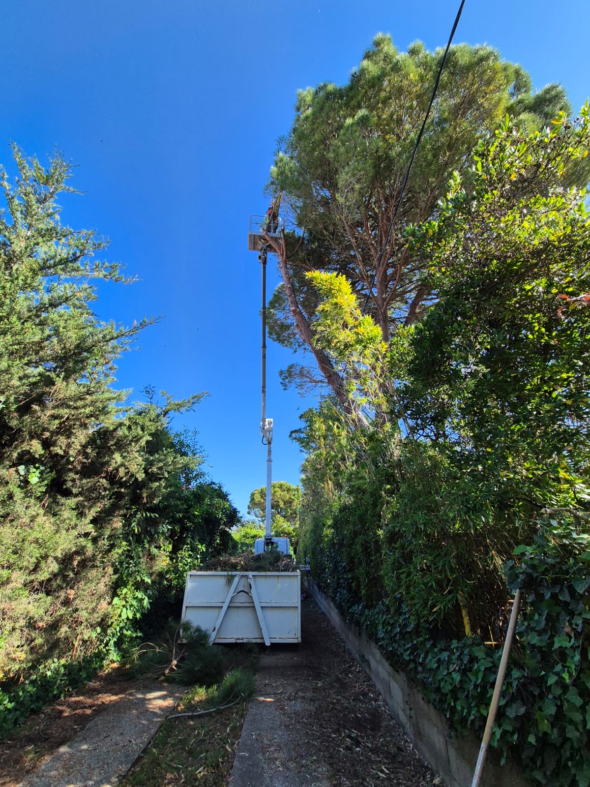 landscape-maintenance-40
