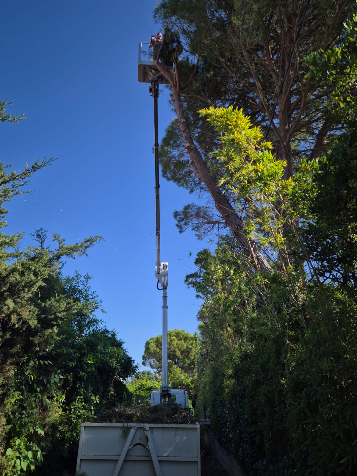 landscape-maintenance-39