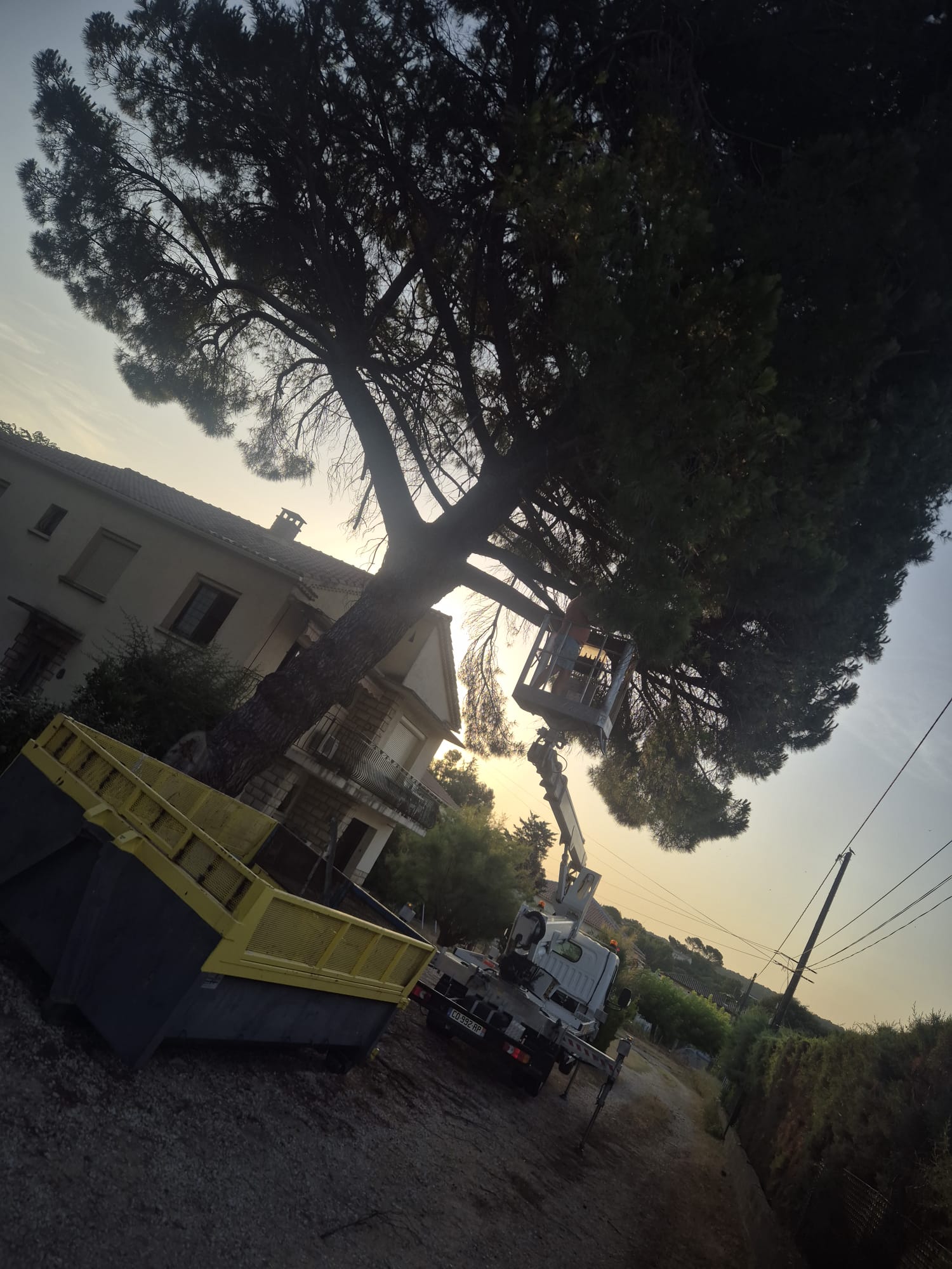 landscape-maintenance-40
