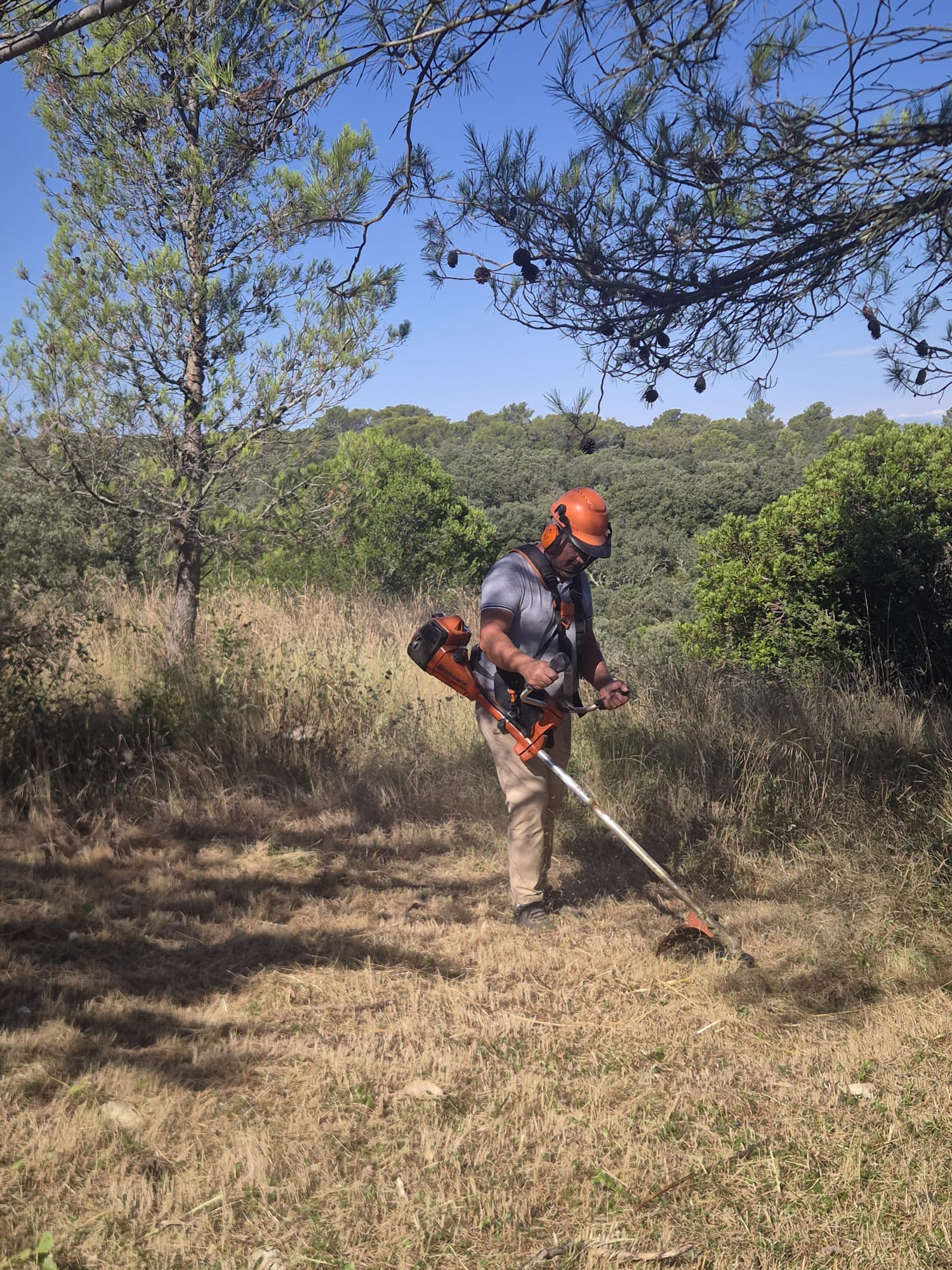 landscape-maintenance-40