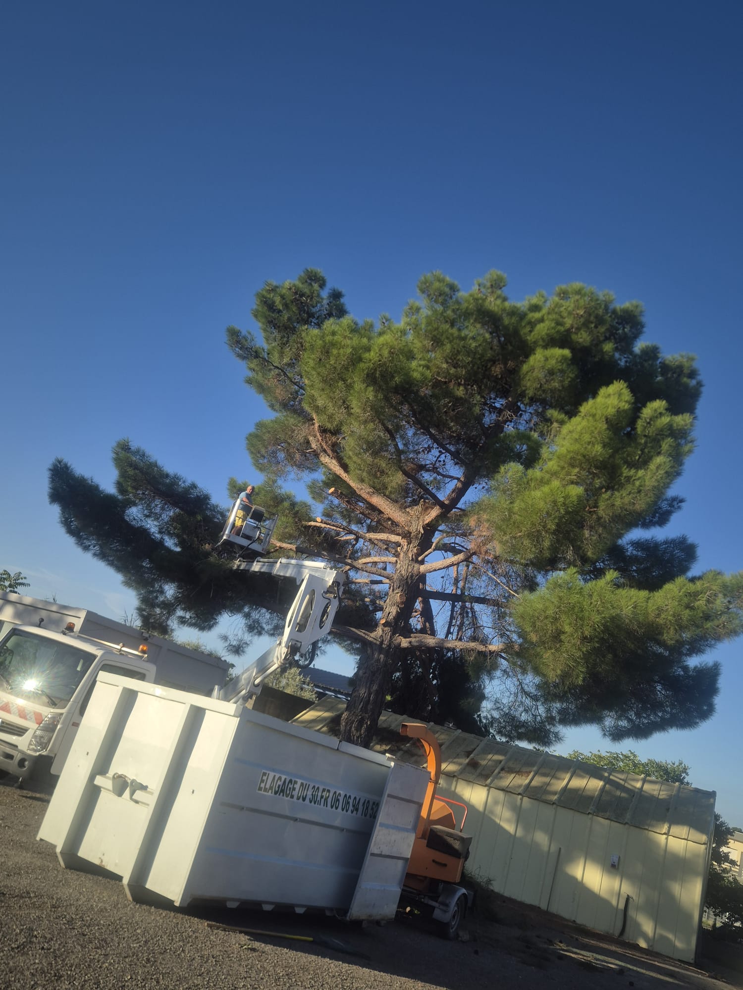 landscape-maintenance-40